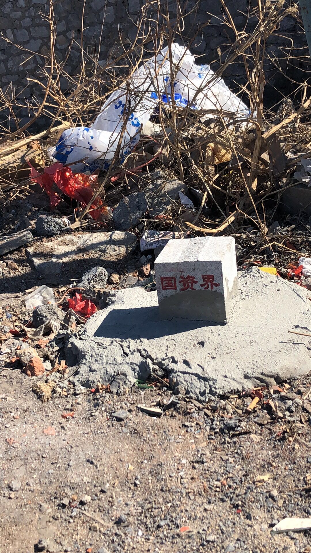 AG真人国际官网装备资产部全力稳步推进金重集团非经营性资产土地确权工作1.jpg